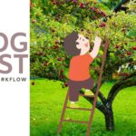 blog post workflow