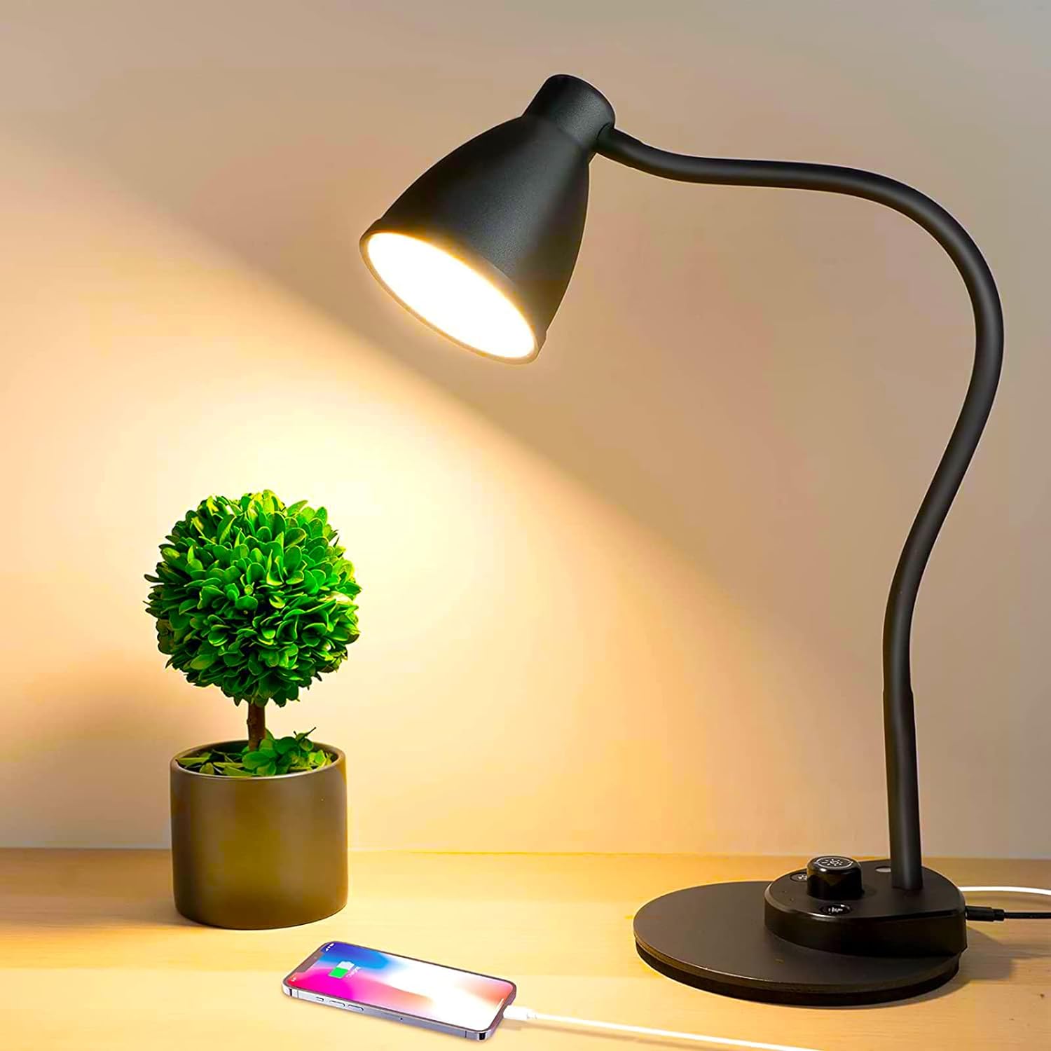BOHON LED Desk Lamp